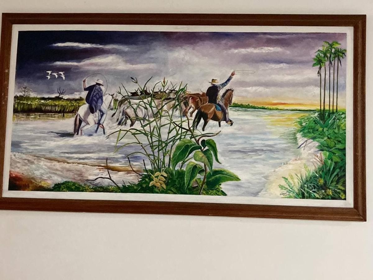 Refugio Llanero Hotel Boutique Villavo Centro 3K Aeropuerto 비야비센시오 외부 사진